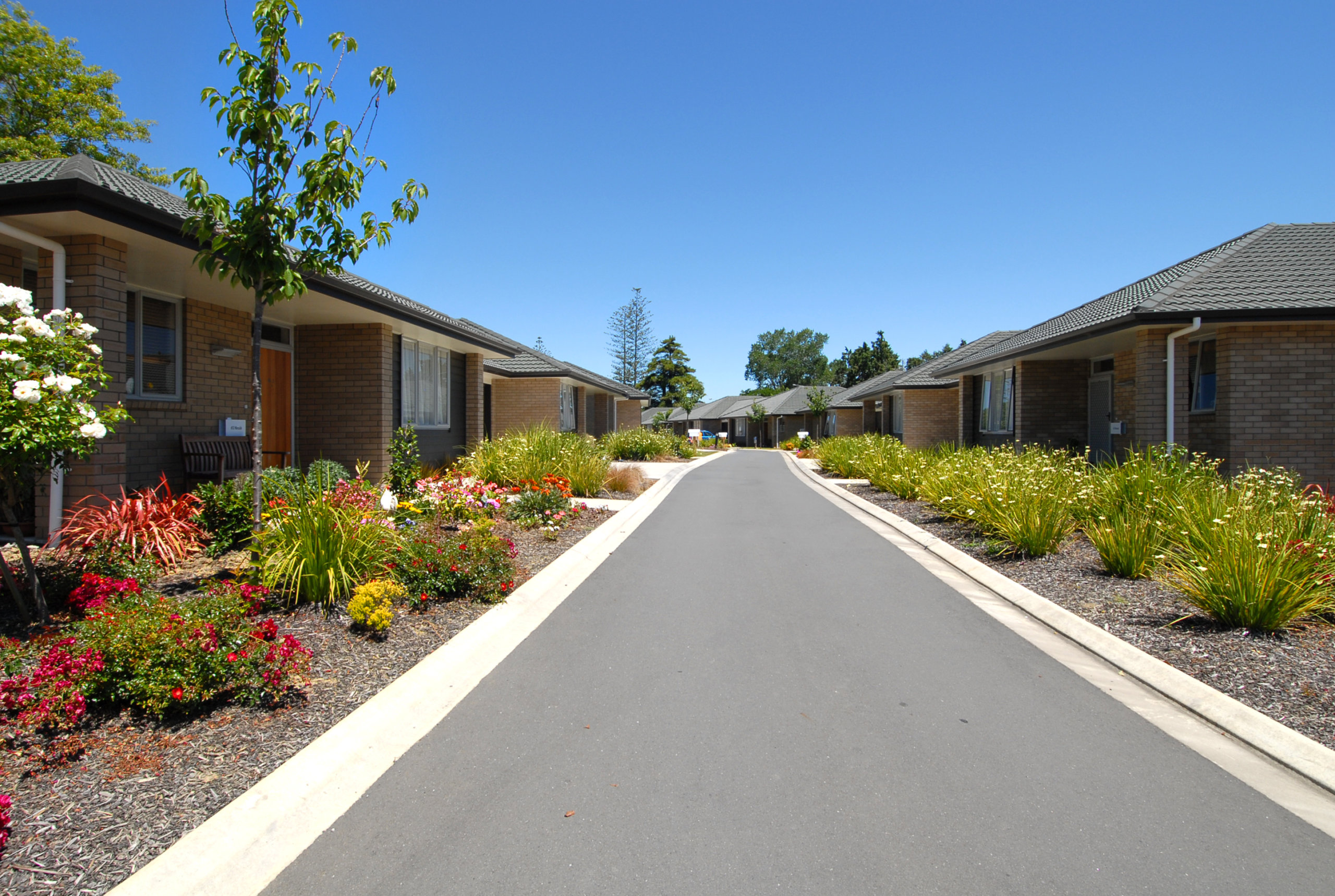 Elmwood Village